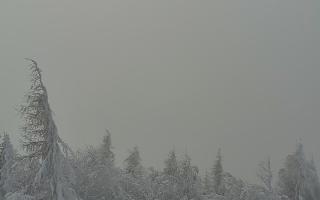 Jaworzyna Krynicka 2 - 01-02-2026 12:02