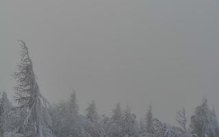 Jaworzyna Krynicka 2 - 01-02-2026 12:17