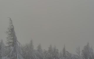 Jaworzyna Krynicka 2 - 01-02-2026 12:24