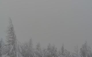 Jaworzyna Krynicka 2 - 01-02-2026 12:32