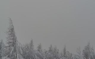 Jaworzyna Krynicka 2 - 01-02-2026 12:40