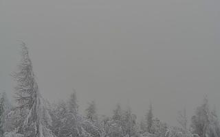 Jaworzyna Krynicka 2 - 01-02-2026 12:47