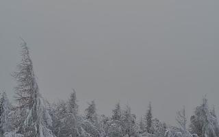 Jaworzyna Krynicka 2 - 01-02-2026 12:55