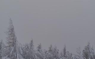 Jaworzyna Krynicka 2 - 01-02-2026 13:10