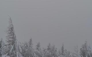 Jaworzyna Krynicka 2 - 01-02-2026 13:17