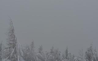 Jaworzyna Krynicka 2 - 01-02-2026 13:25