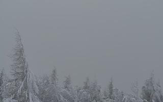 Jaworzyna Krynicka 2 - 01-02-2026 13:40