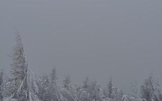 Jaworzyna Krynicka 2 - 01-02-2026 13:48