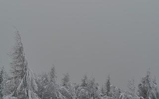 Jaworzyna Krynicka 2 - 01-02-2026 13:55