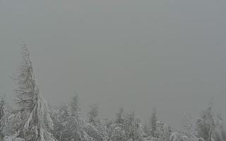 Jaworzyna Krynicka 2 - 01-02-2026 14:03