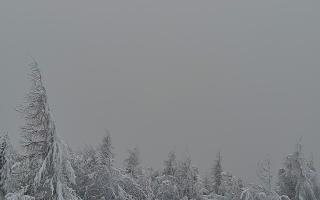 Jaworzyna Krynicka 2 - 01-02-2026 14:18