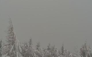 Jaworzyna Krynicka 2 - 01-02-2026 14:26