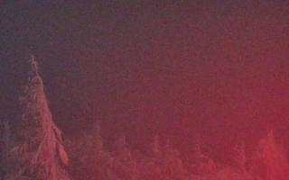 Jaworzyna Krynicka 2 - 01-02-2026 17:28