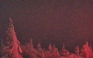 Jaworzyna Krynicka 2 - 01-02-2026 17:51