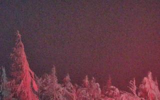 Jaworzyna Krynicka 2 - 01-02-2026 18:59