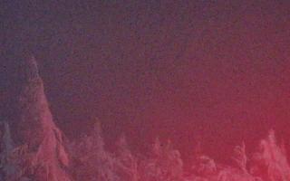 Jaworzyna Krynicka 2 - 01-02-2026 19:07