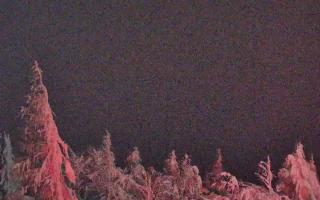 Jaworzyna Krynicka 2 - 01-02-2026 19:37