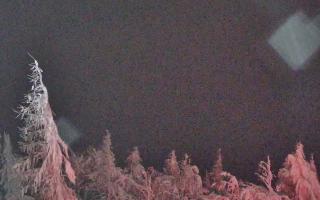 Jaworzyna Krynicka 2 - 01-02-2026 19:52