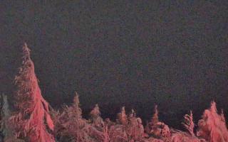 Jaworzyna Krynicka 2 - 01-02-2026 20:15