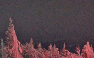 Jaworzyna Krynicka 2 - 01-02-2026 20:30