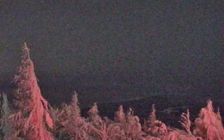 Jaworzyna Krynicka 2 - 01-02-2026 20:38