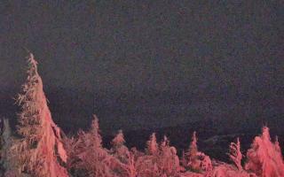 Jaworzyna Krynicka 2 - 01-02-2026 20:46