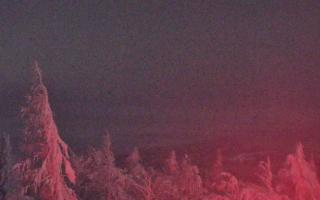 Jaworzyna Krynicka 2 - 01-02-2026 22:17