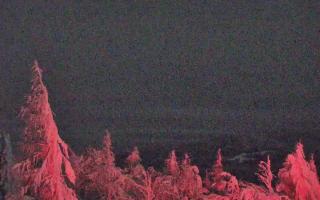 Jaworzyna Krynicka 2 - 01-02-2026 22:24