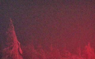 Jaworzyna Krynicka 2 - 02-02-2026 01:04