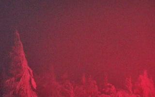 Jaworzyna Krynicka 2 - 02-02-2026 02:35