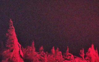 Jaworzyna Krynicka 2 - 02-02-2026 03:36