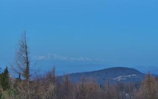 Jaworzyna Krynicka 2 - 16-03-2026 04:29