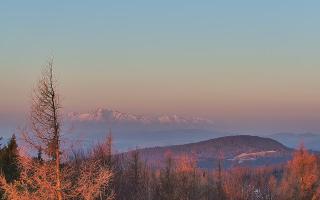 Jaworzyna Krynicka 2 - 16-03-2026 05:00