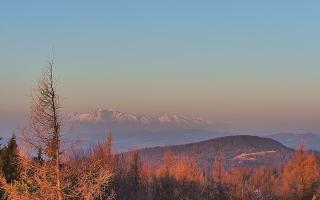 Jaworzyna Krynicka 2 - 16-03-2026 05:07