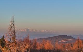 Jaworzyna Krynicka 2 - 16-03-2026 05:15