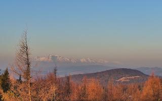 Jaworzyna Krynicka 2 - 16-03-2026 05:23