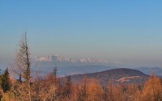 Jaworzyna Krynicka 2 - 16-03-2026 05:30