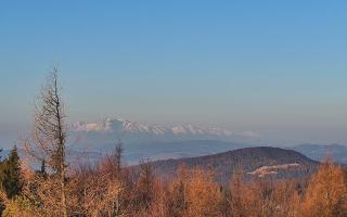 Jaworzyna Krynicka 2 - 16-03-2026 05:38