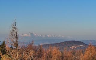 Jaworzyna Krynicka 2 - 16-03-2026 05:45