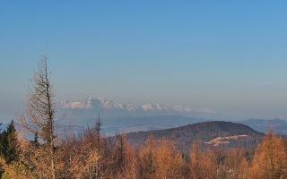 Jaworzyna Krynicka 2 - 16-03-2026 05:53