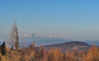 Jaworzyna Krynicka 2 - 16-03-2026 06:01