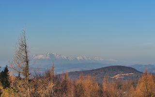 Jaworzyna Krynicka 2 - 16-03-2026 06:08