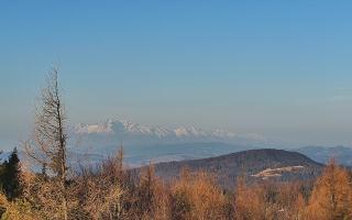 Jaworzyna Krynicka 2 - 16-03-2026 06:16