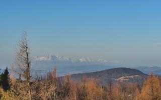 Jaworzyna Krynicka 2 - 16-03-2026 06:23