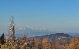 Jaworzyna Krynicka 2 - 16-03-2026 06:31