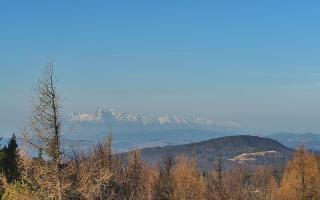 Jaworzyna Krynicka 2 - 16-03-2026 06:39