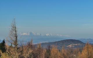 Jaworzyna Krynicka 2 - 16-03-2026 06:46