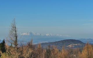 Jaworzyna Krynicka 2 - 16-03-2026 06:54