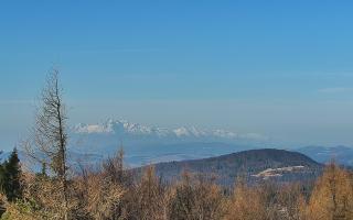 Jaworzyna Krynicka 2 - 16-03-2026 07:01