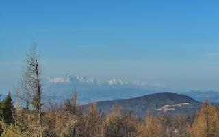 Jaworzyna Krynicka 2 - 16-03-2026 07:09